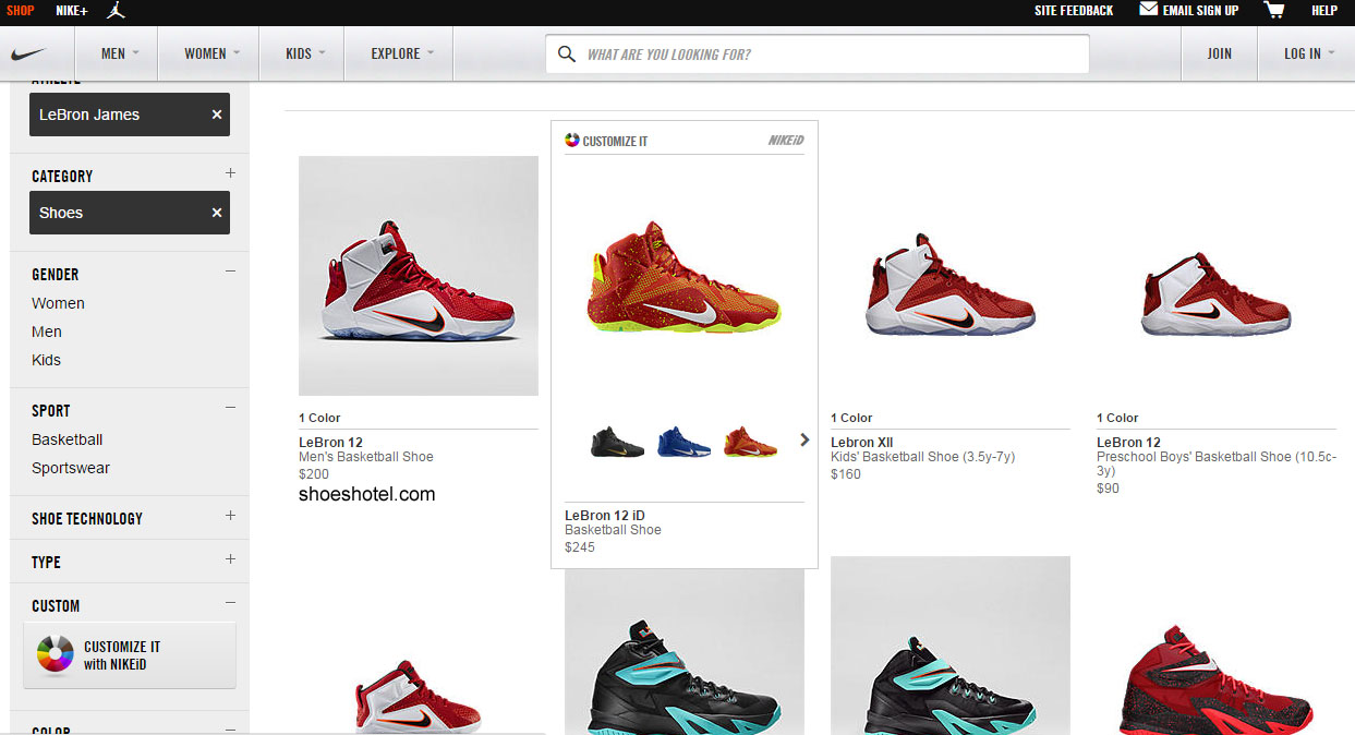 lebron shoes online